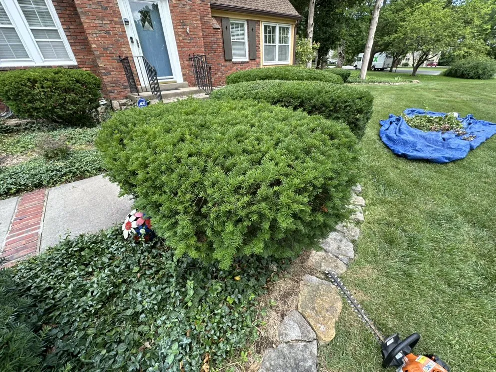 Trusted landscape installation in Kansas City, MO - The Lawn Guru