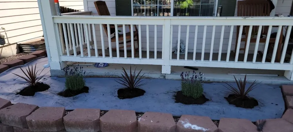 Reliable lawn care service for beautiful yards in Brighton, CO by The Lawn Guy