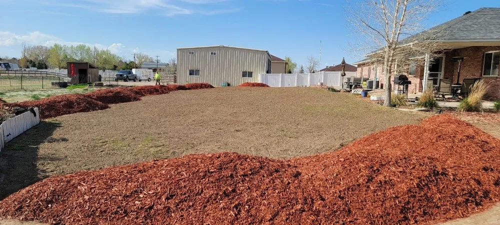 Professional lawn care service for homes in Brighton, CO by The Lawn Guy