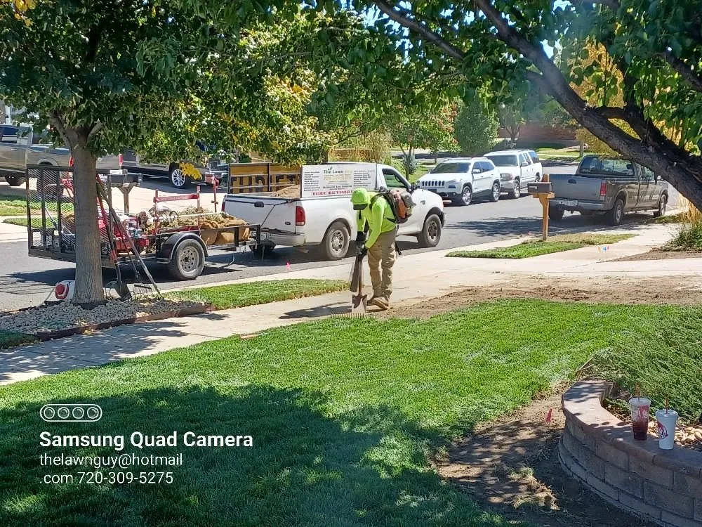 Top-rated residential landscaping in Brighton, CO by The Lawn Guy