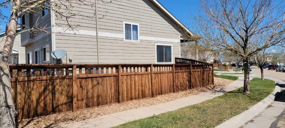 Expert landscape design for beautiful yards across Brighton, CO - The Lawn Guy