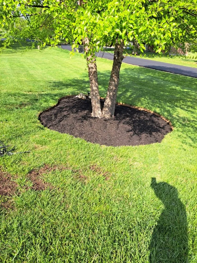 Trusted landscaping services in Elizabethtown, KY - The Lawn Guy
