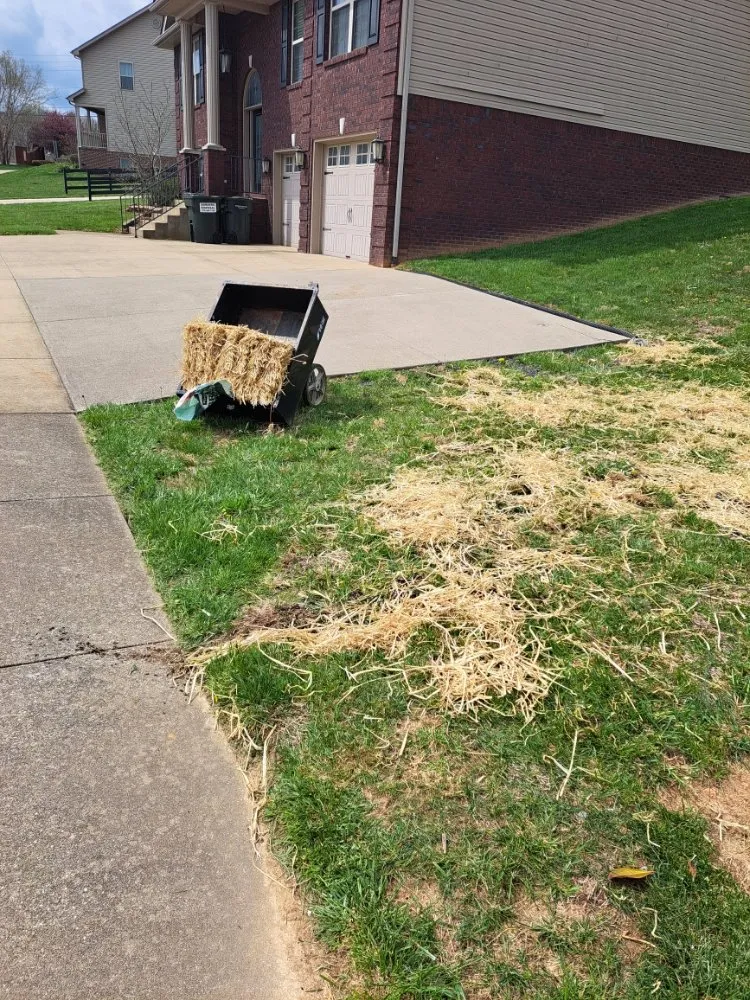 Expert landscape installation with custom design across Elizabethtown, KY - The Lawn Guy