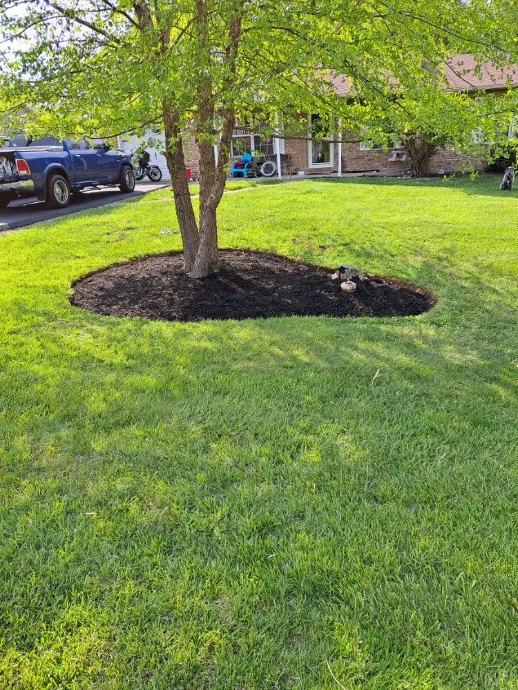Affordable yard cleanup service for year-round maintenance in Elizabethtown, KY by The Lawn Guy