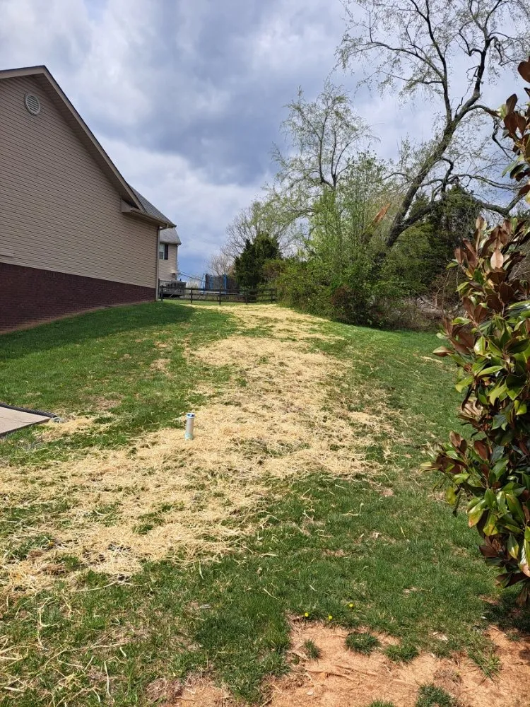 Top-rated garden landscaping experts serving Elizabethtown, KY - The Lawn Guy