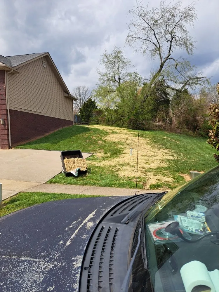 Local lawn care service experts serving Elizabethtown, KY - The Lawn Guy