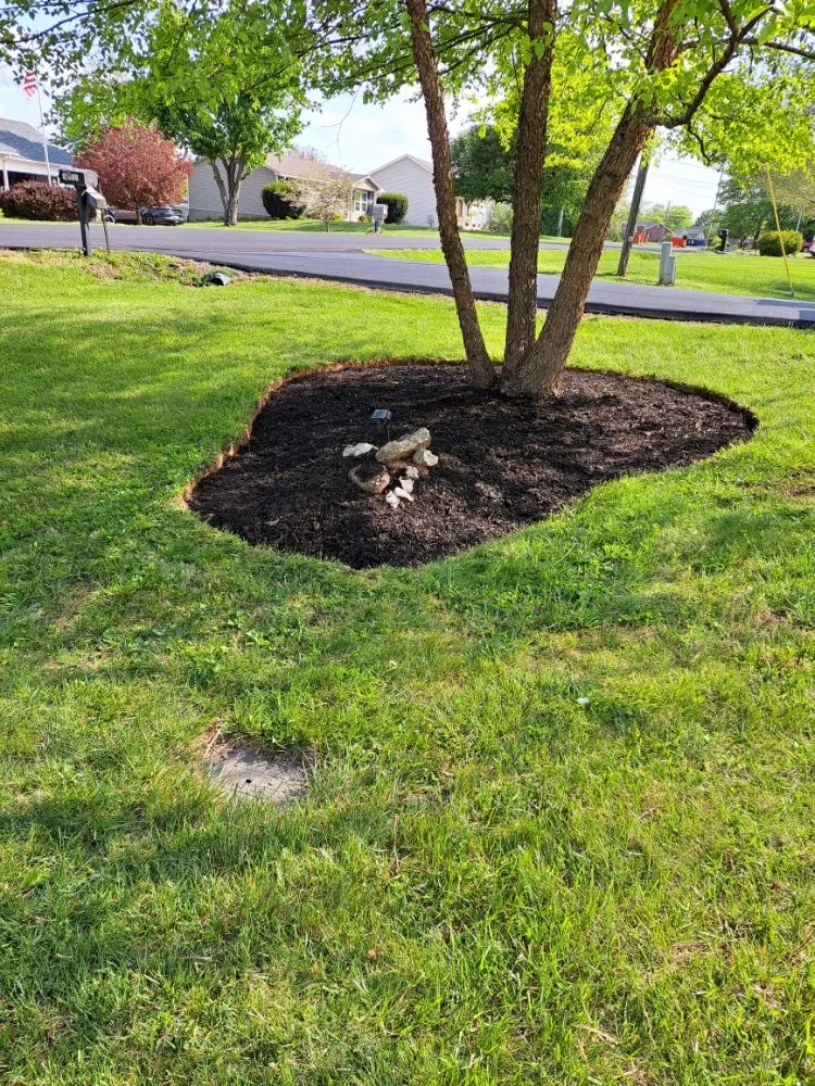 Professional lawn mowing service near you across Elizabethtown, KY - The Lawn Guy