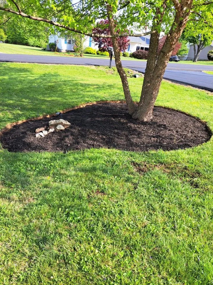 Trusted residential landscaping with custom design across Elizabethtown, KY - The Lawn Guy