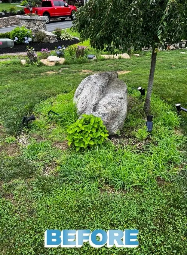 Reliable yard cleanup service experts serving Westport, MA - The Lawn Guy Landscaping