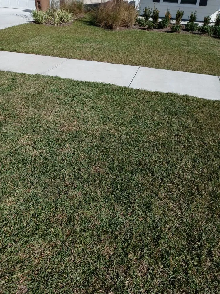 Trusted yard cleanup service near you in P C BEACH, FL by The Lawn guy lawncare