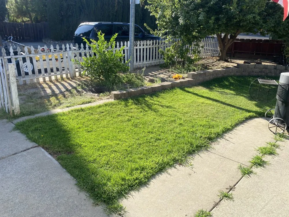 Reliable lawn mowing service in Modesto, CA - The Lawn Guy