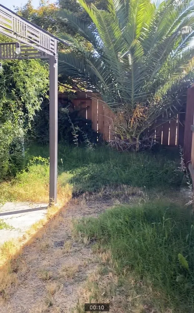 Local yard cleanup service in Modesto, CA by The Lawn Guy