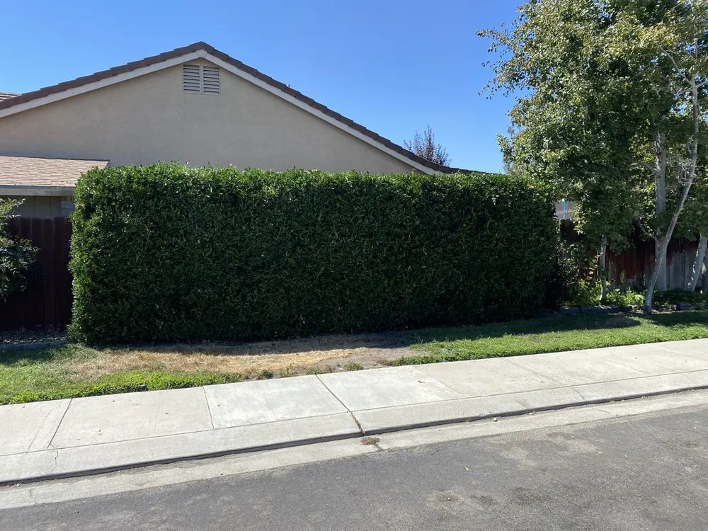 Affordable residential landscaping in Modesto, CA - The Lawn Guy