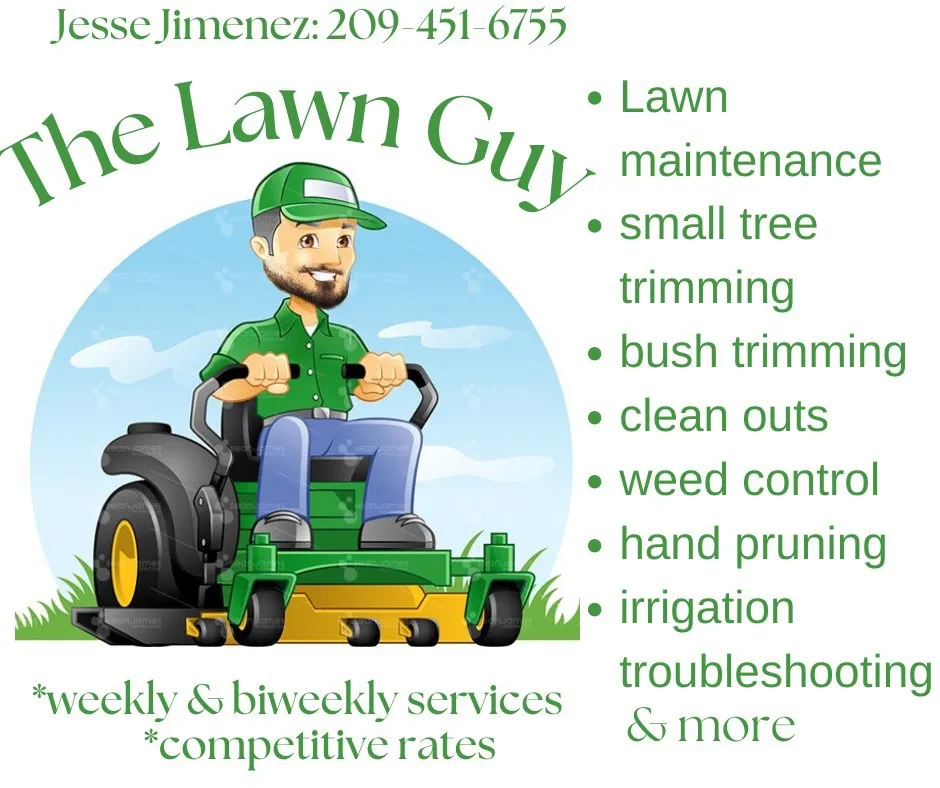 Reliable landscape design for outdoor upgrades in Modesto, CA by The Lawn Guy