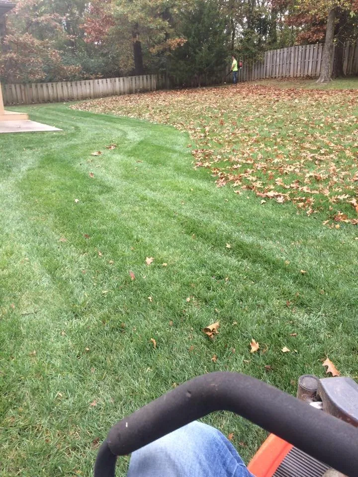 Top-rated landscaping services experts serving Ozark, MO - The Lawn Guy Outdoor