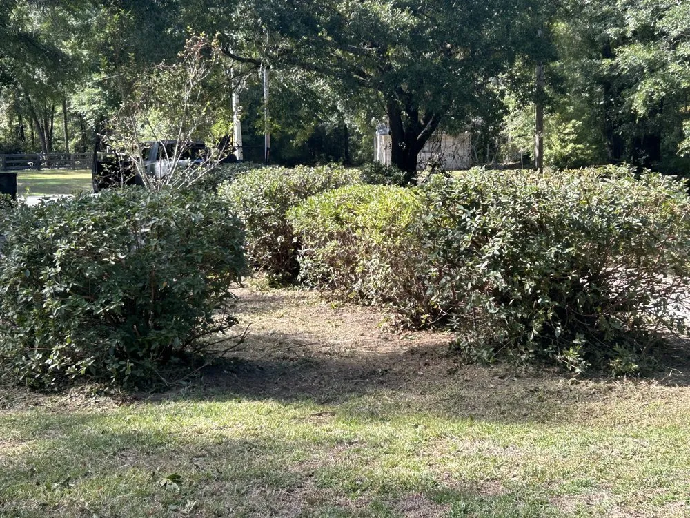 Top-rated lawn mowing service experts serving Robertsdale, AL - The Lawn Guy