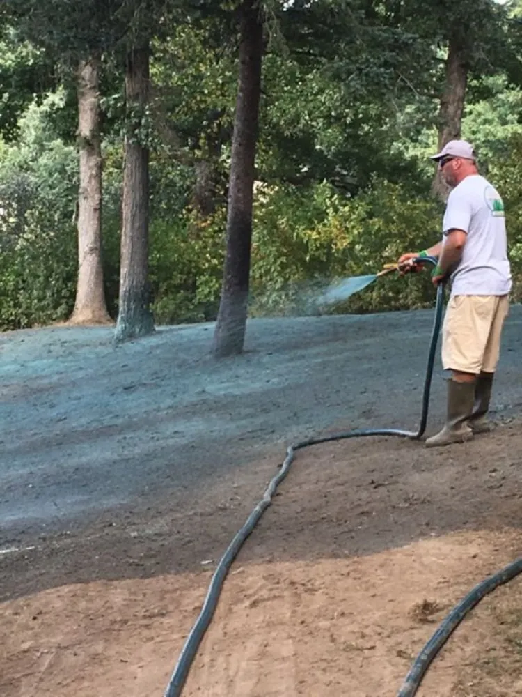 Reliable landscape design for outdoor upgrades across Springfield, IL - The Lawn Guy