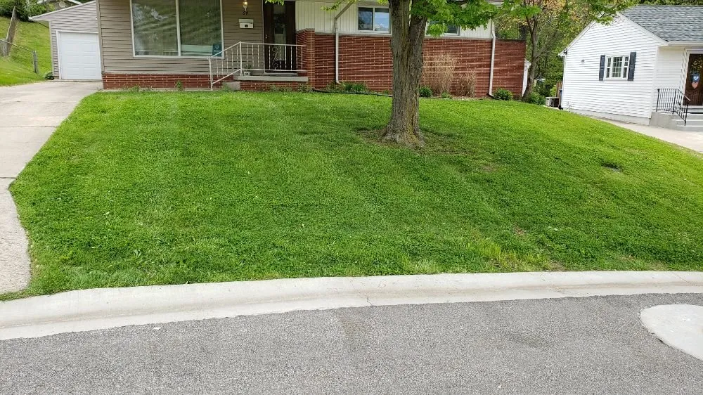 Expert landscape installation experts serving Springfield, IL - The Lawn Guy