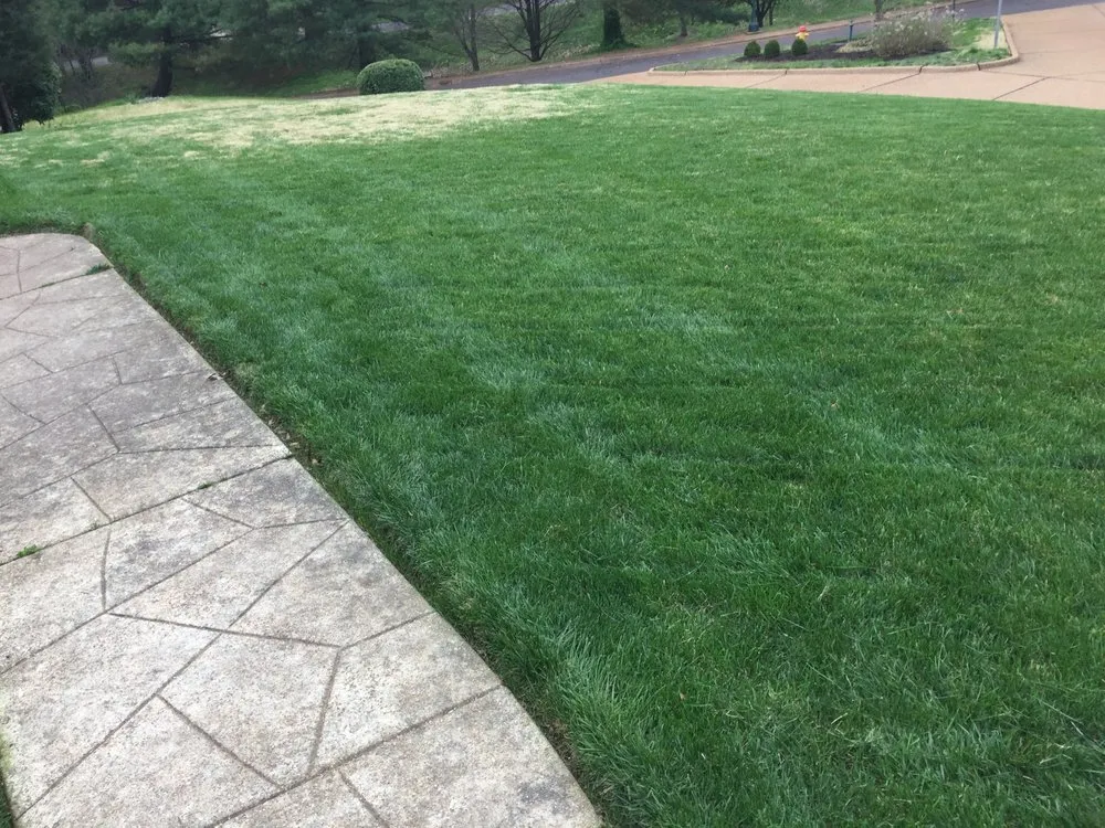 Local residential landscaping for homes in St. Louis, MO by The Lawn Guy