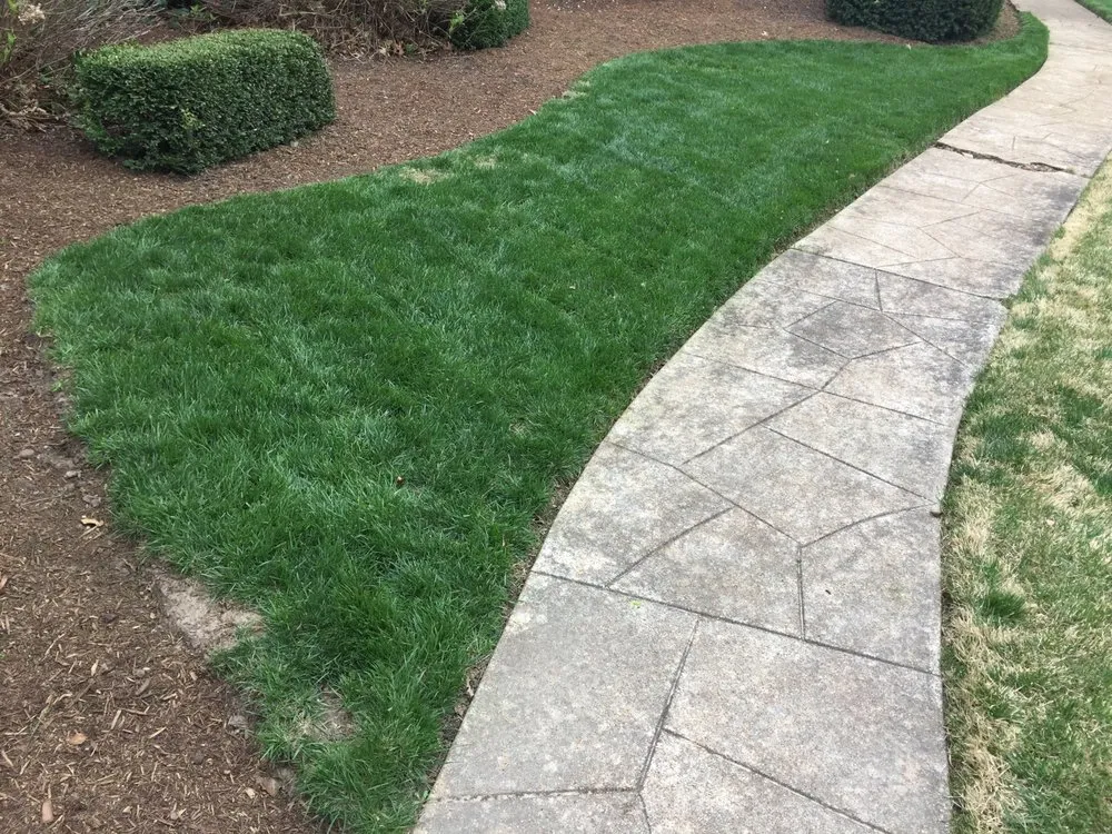 Top-rated landscape design in St. Louis, MO - The Lawn Guy
