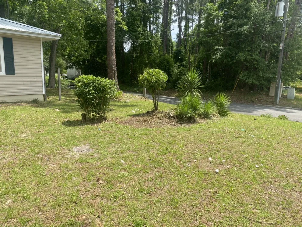 Affordable lawn mowing service with custom design in Waycross, GA by The Lawn Guy