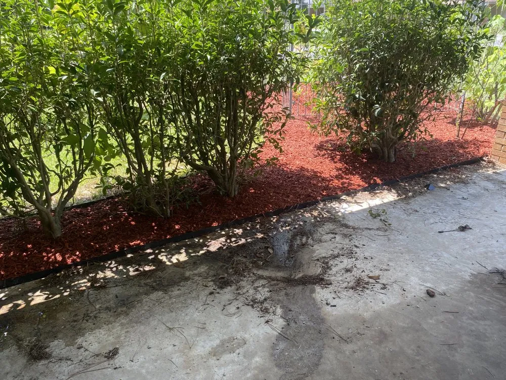 Expert landscape installation near you across Waycross, GA - The Lawn Guy