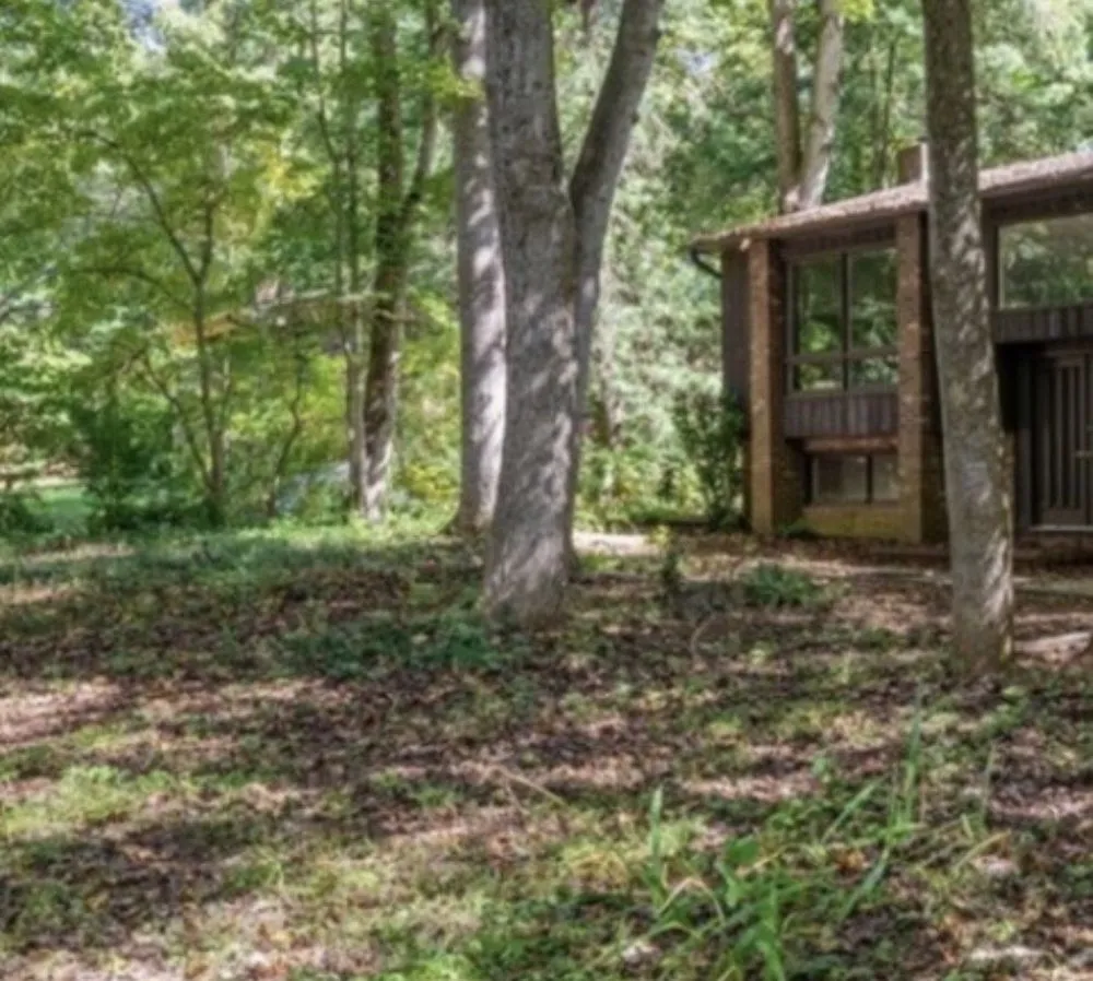 Reliable lawn care service near you across Winston-Salem, NC - The lawn guy