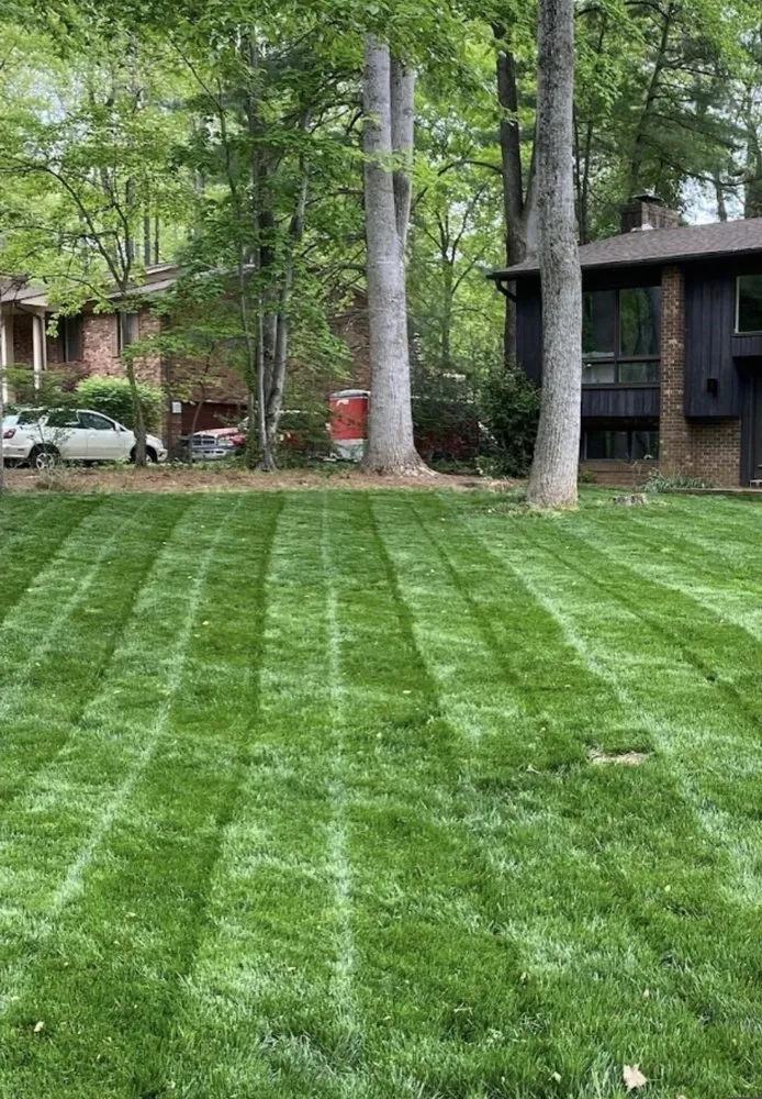 Trusted lawn care service near you across Winston-Salem, NC - The lawn guy