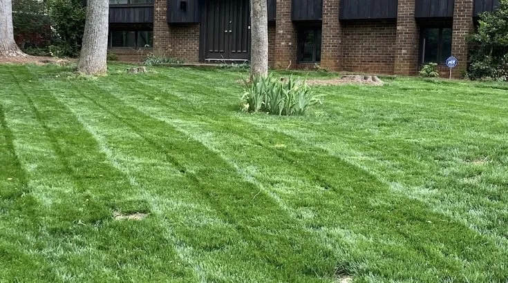 Reliable lawn care service for homes across Winston-Salem, NC - The lawn guy