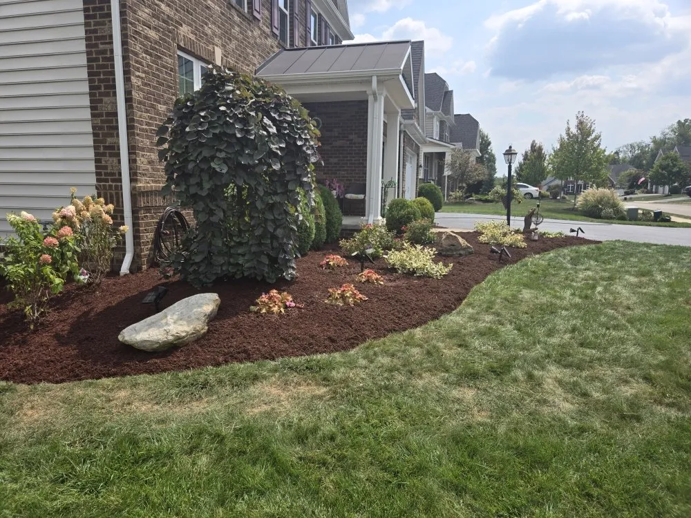 Reliable yard cleanup service for year-round maintenance across Burgettstown, PA - The Lawn Guys