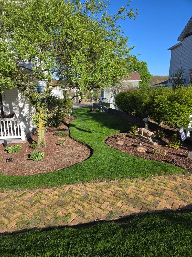 Reliable yard cleanup service in Burgettstown, PA by The Lawn Guys