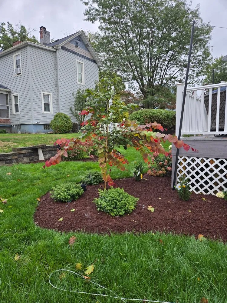 Local yard cleanup service in Burgettstown, PA - The Lawn Guys