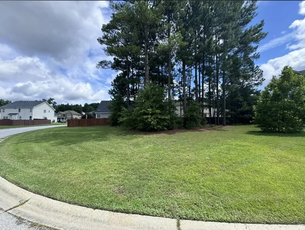 Expert landscape design for homes across Columbia, SC - The Lawn Guys