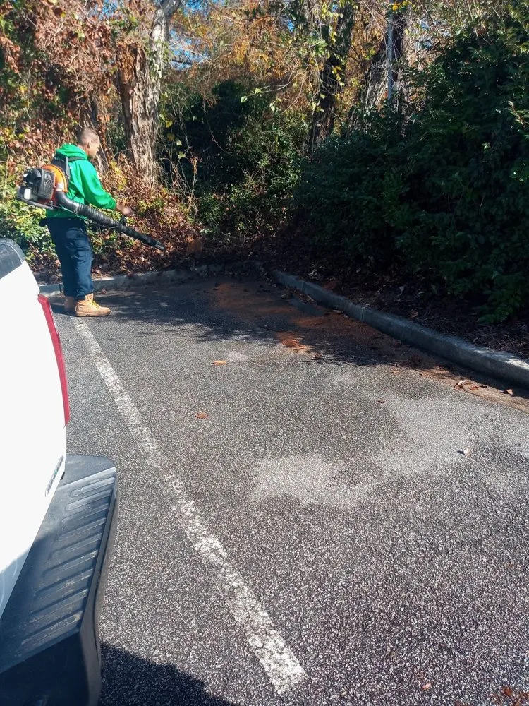 Affordable yard cleanup service for beautiful yards in North Myrtle Beach, SC by The Lawn Guys