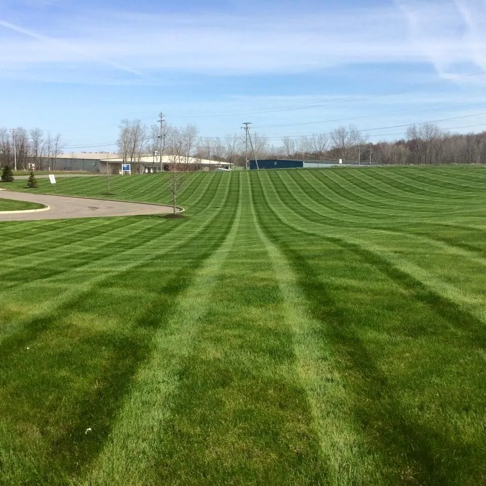 Affordable lawn mowing service with custom design in Orem, UT by The Lawn Guys