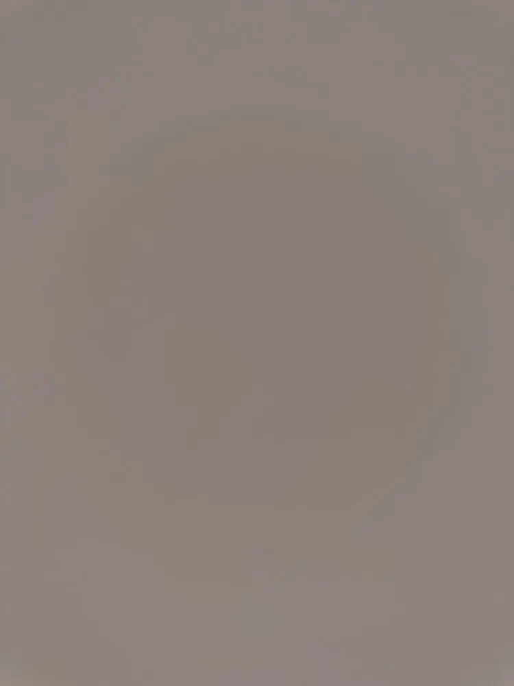 Reliable landscape installation experts serving Orlando, FL - The Lawn Guys