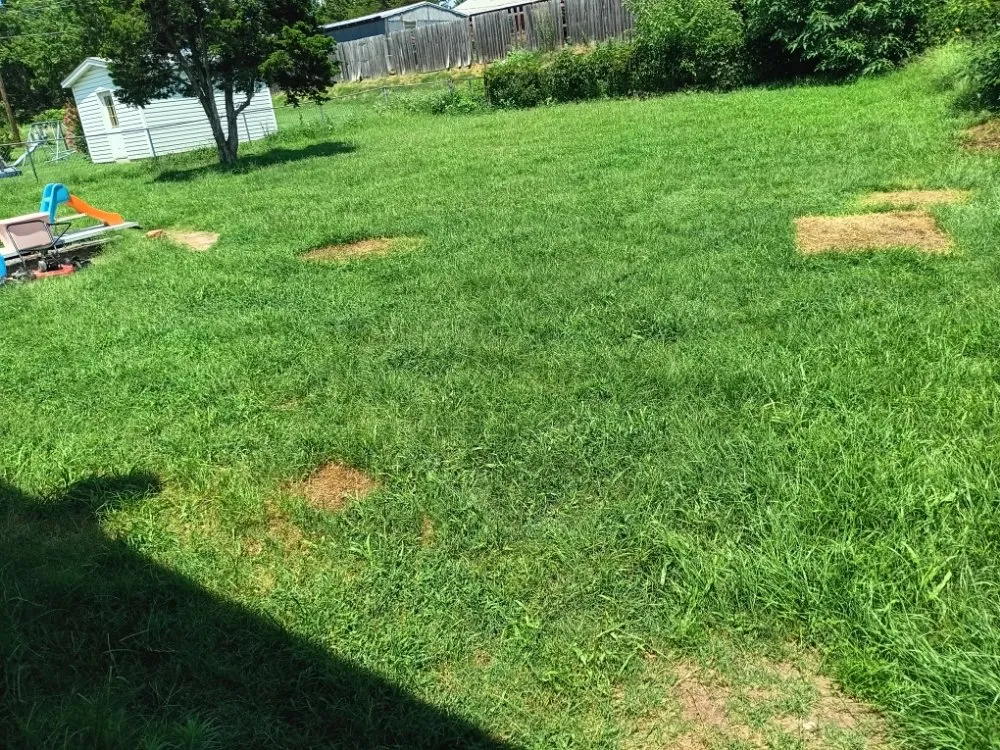 Reliable landscaping services experts serving Rush Springs, OK - The lawn guys