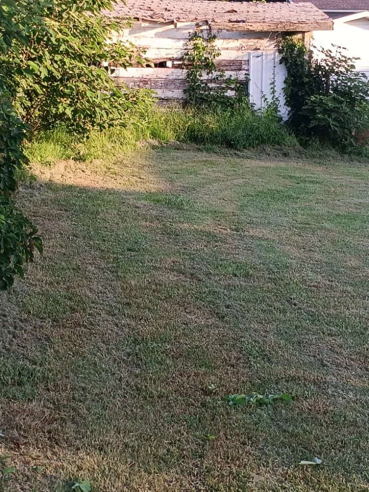 Top-rated landscape installation experts serving Rush Springs, OK - The lawn guys