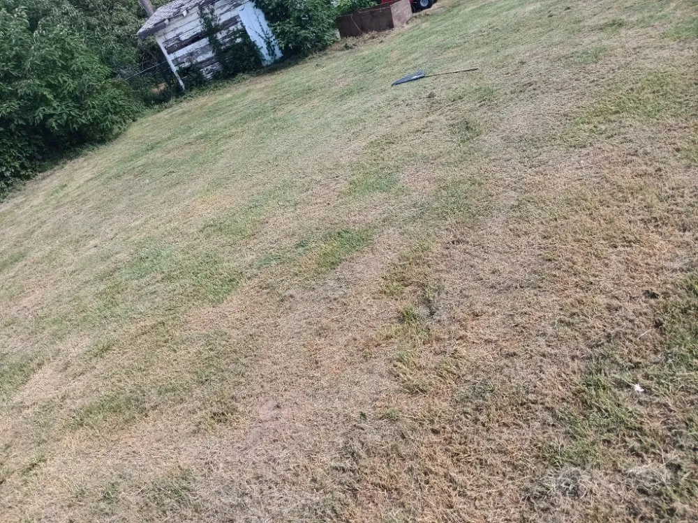 Affordable landscaping services in Rush Springs, OK - The lawn guys