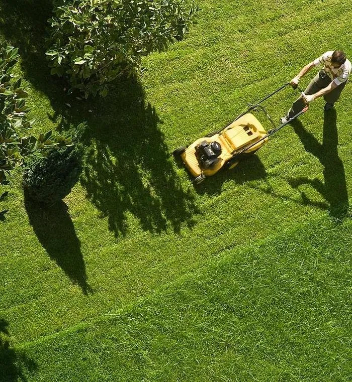 Local landscape design experts serving Schenectady, NY - The Lawn Guys