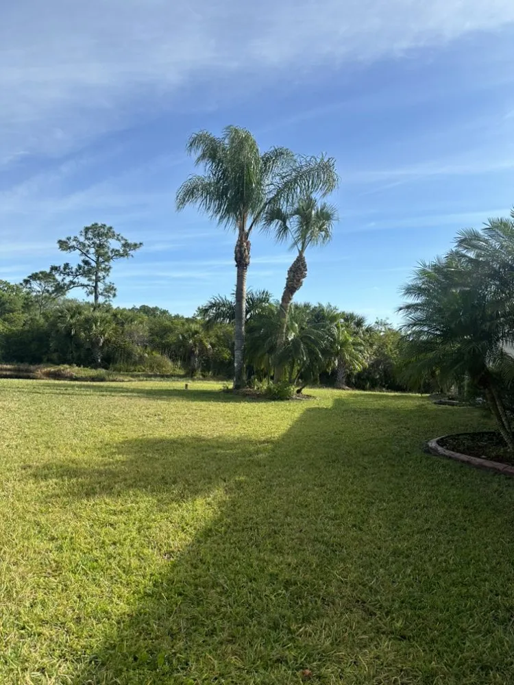 Top-rated landscaping services in Rockledge, FL by The Lawn Guys Service