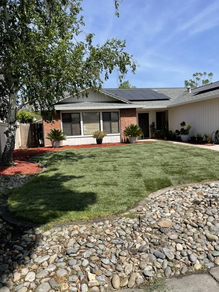 Local yard maintenance in Tracy, CA - The Lawn Guys