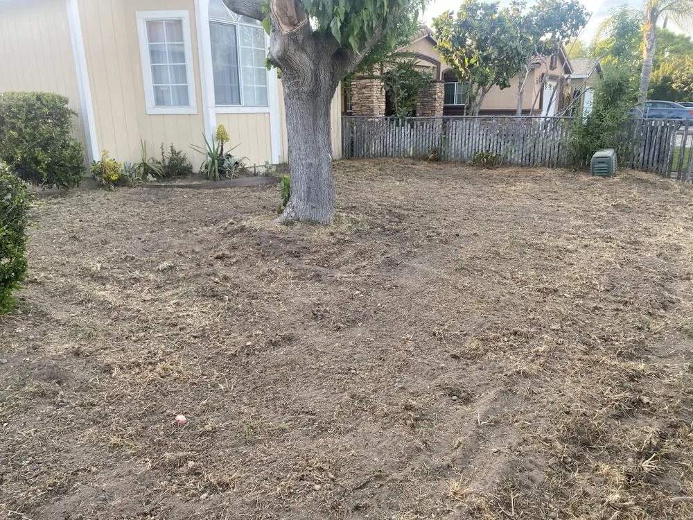 Trusted outdoor landscaping experts serving Tracy, CA - The Lawn Guys
