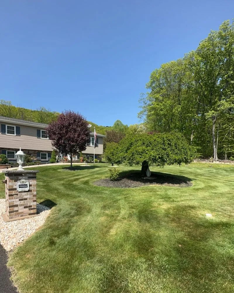 Local yard maintenance for outdoor upgrades across West Hazleton, PA - The Lawn Guyz Lawn Services