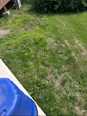 The Lawn Guyz Lawn Services