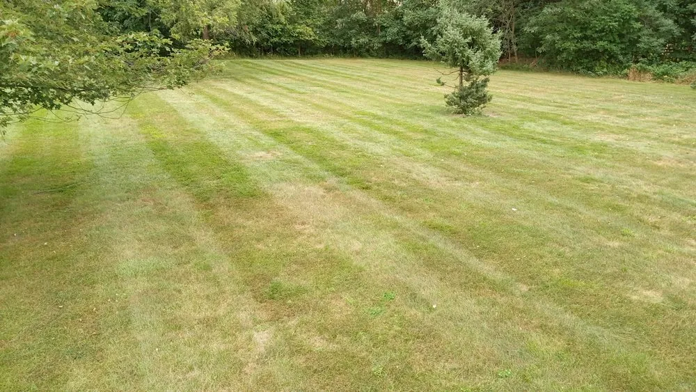 Custom landscaping services experts serving Toledo, OH - The Lawn Guyz