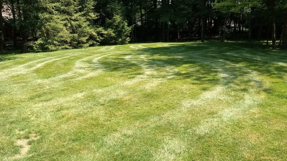 Trusted landscape design in Toledo, OH - The Lawn Guyz