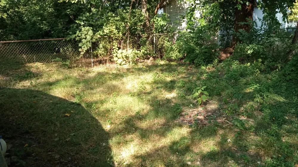 Affordable landscape design in Toledo, OH by The Lawn Guyz