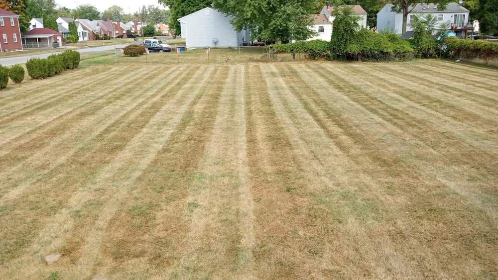 Professional lawn mowing service for outdoor upgrades across Toledo, OH - The Lawn Guyz