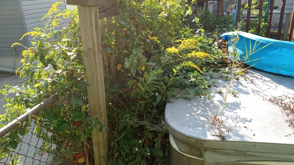 Reliable outdoor landscaping for outdoor upgrades in Toledo, OH by The Lawn Guyz